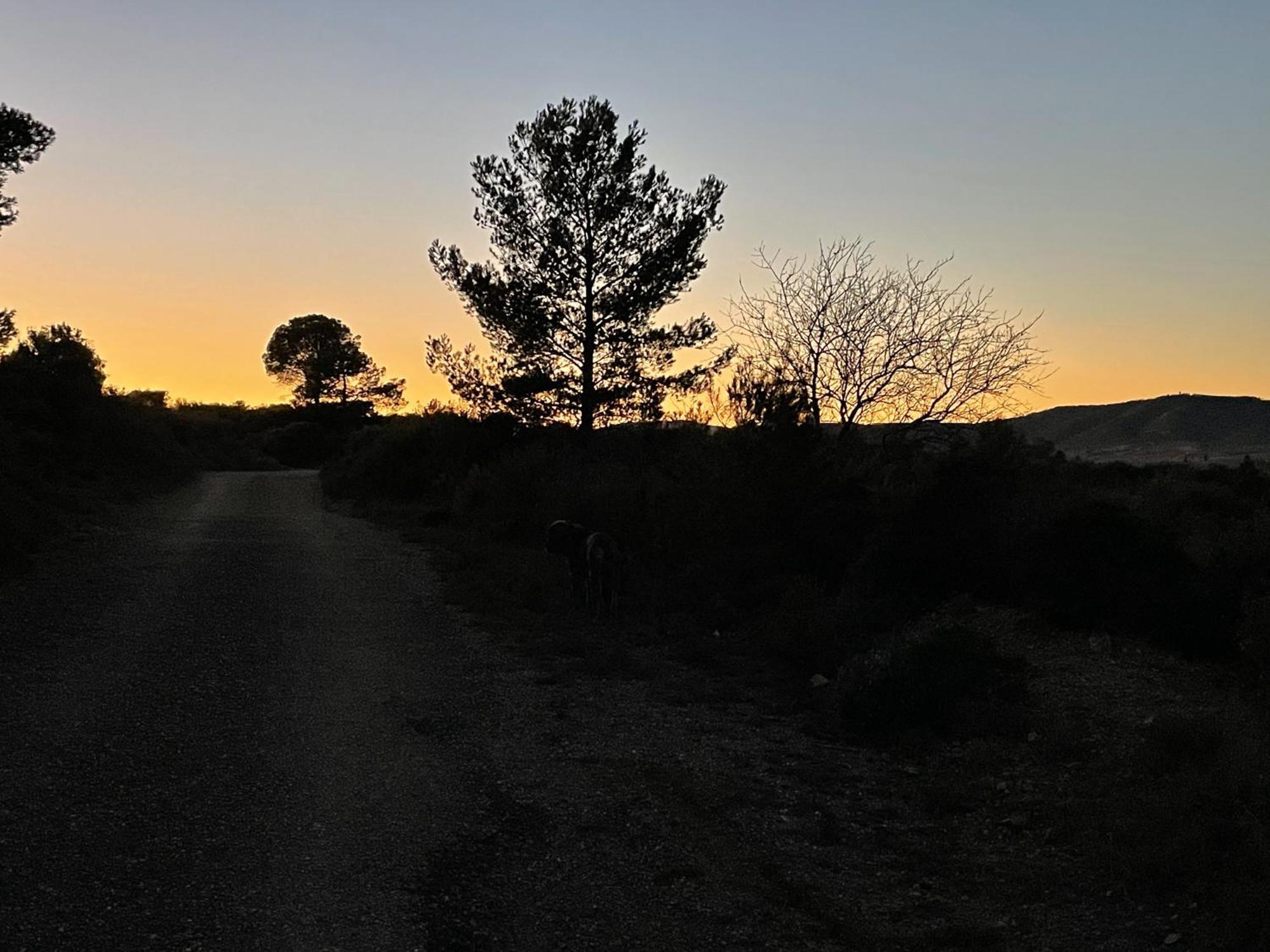 Holiday home La Petite Ecurie Montseret
